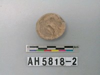 藏品(淺褐色陶塊)的圖片